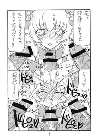 (C79) [King Revolver (Kikuta Kouji)] Dopyutto Atsumare Hana no Power (HeartCatch Precure!)