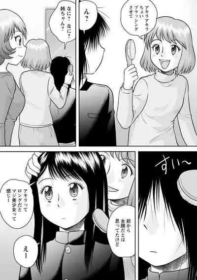 Fudeoroshi Harem Dairankou