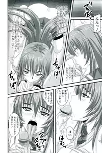 [Nozarashi Satoru] Do S na Hime wa Kegasareru - Ouhou no Shou -