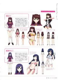 Aika Complete Fanbook