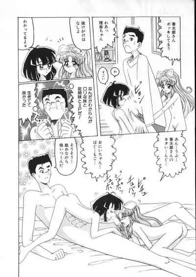 Yousei Nikki 2