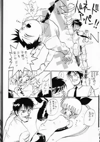 (C49) [DEROLIAN (Shark Yaminabe)] DEROLIAN 5 (Kaitou Saint Tail)