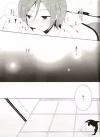 (CCFukuoka33) [96。 (Kurokuma)] Naisho no Soudan (Free!)