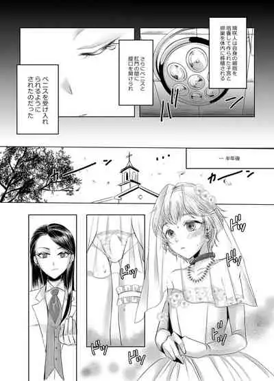 Joken Kokka ni Okeru Konin to Kazoku Seikatsu