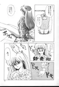 [Nishiki Yoshimune] Fairy Counter