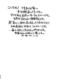 (C50) [Moriman Shouten (Various)] Katze 14 (Neon Genesis Evangelion)