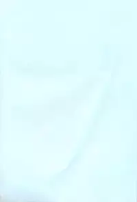 (C59) [Genki Honpo (Ankou Norimitsu, Saranoki Chikara)] Love Otohime (Love Hina)