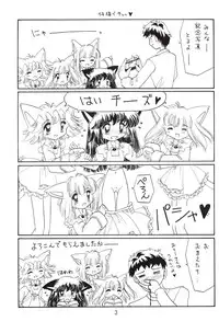 (C57) [Nekomimi Sorcery (Masamineko)] Koneko de Chuu