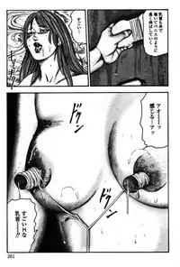 [Sanjou Tomomi] Niizuma No Shuuchi Play
