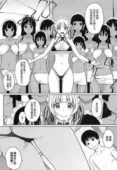 Houshi Shuzoku ga Yattekita!