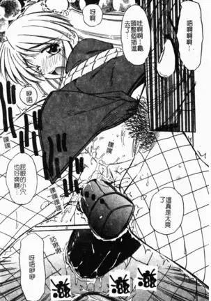 Collector ~Ochita Tenshi-tachi~ - Collector Fallen Angels