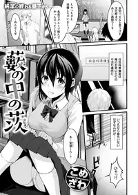 COMIC Kairakuten 2019-04 [Digital]