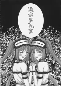 (C69) [Tamaranchi (Q-Gaku, Shinbo Tamaran)] EX PERIENCE (Fate/stay night)