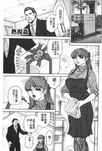 [Hino Toshiyuki] Injukujo Niku Zanmai | 淫熟女肉慘味 [Chinese]