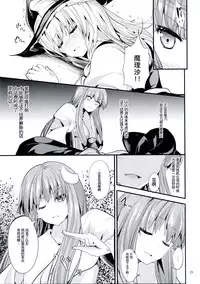 (C87) [Water Drop (MA-SA)] Satanic Carnival 2 (Touhou Project) [Chinese] [CE家族社]