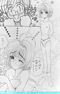 (CR22) [PINE CANDY (Kouenji Marimo)] Sakura Sakura R (Cardcaptor Sakura)