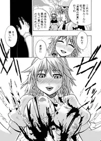 (C75) [Yuki Kagerou (KANZUME)] EraKatta ne! Fran-chan! (Touhou Project)