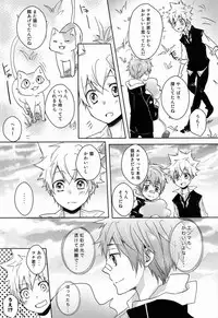 (C81) [Alpenreise (Ayano Ena)] Synchrotation (Katekyo Hitman REBORN!)