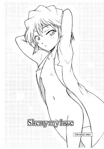 (C91) [OTOHIMEDOU (Otumaru)] Sherry my love (Detective Conan) [Chinese] [塔布里斯個人漢化]