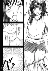 [Crimson Comics (Carmine)] Soudou Soushuuhen (To LOVE-Ru)