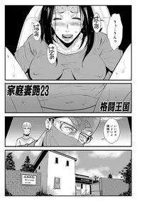 Katei Saien Vol. 3