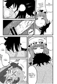(C82) [Fugodoku (Katou Fuguo)] SURUDAKE Ni. (Touhou Project) [English] [SMDC]