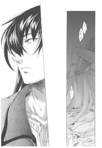 (C93) [Toko-ya (HEIZO, Kitoen)] Saint Foire Festival Richildis Soushuuhen