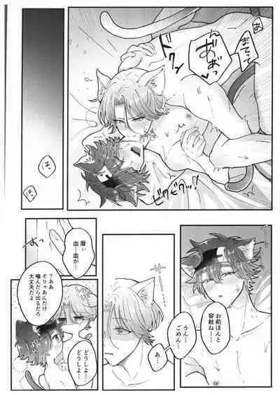 Neko ni nattara nani o suru?