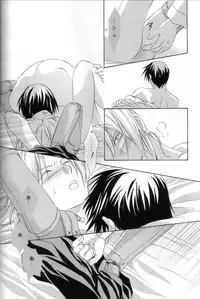 [Ronno & Kalus (Takada Bambi)] Hermaphrodite 8 (Fullmetal Alchemist) [English] [Secret Garden]