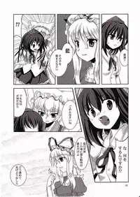 [Memoria (texirumu)] Doubutu Gyakutai!? (Touhou Project)