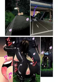 Gaticomi Vol.33