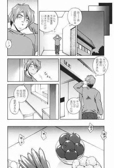 Nikukan Sentimental