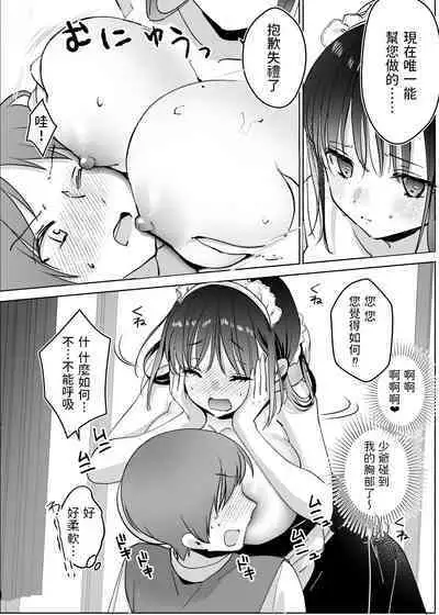 Maid no Kirina wa Bocchama ni Tsukushitai