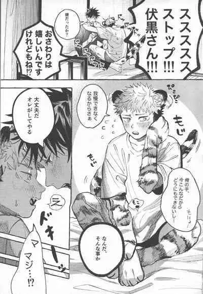 Tora no koubi wa 2 nichi de 100 kai