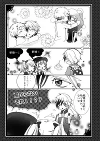 (C84) [Mashiro Tamago (Mashiro Yukihisa)] Married Life (Tales of Xillia 2) [Incomplete]