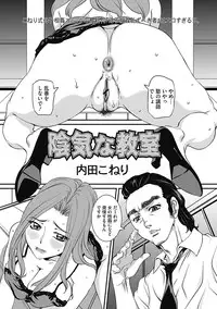 COMIC Mate 2012-12 Vol. 195 [Digital]