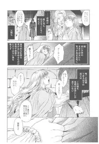 (C93) [Toko-ya (HEIZO, Kitoen)] Saint Foire Festival Richildis Soushuuhen