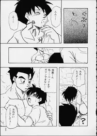 (C49) [Chirigami Goya / Fusuma Goten] Z (Dragonball)