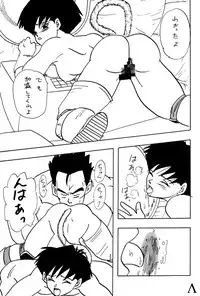 [Chirigami Goya / Fusuma Goten] Y (Dragonball)