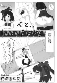 (C70) [Mirabilien Fabrik (Various)] Shoujo Yousai Rengashuu Touhou Inreika (Touhou Project)
