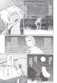 (C83) [Nazonokai (Mitamori Tatsuya)] Gokinjo no Monster 5