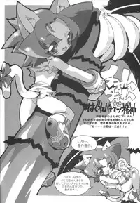 (C54) [GALAXIST (BLADE)] Samurai Tama SAMRAY the REMIXED SPIRITS (Samurai Spirits)