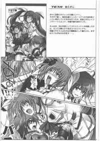 [Cyclone (Izumi)] 667 Kai (Mahou Shoujo Lyrical Nanoha)
