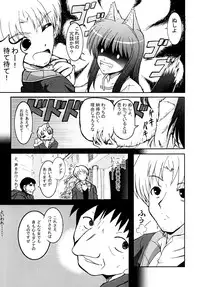 (SC40) [Irohadou (Shiiguchi Iruha)] Ookami to Ai no Kusari (Spice and Wolf)