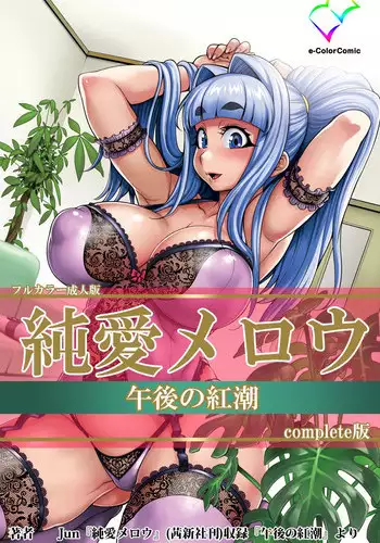 a hell of comunication - jun hayami (sample for faget-check quality)