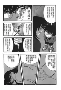 [Ooya Nako] Detective Assistant Vol. 13 (Detective Conan) [Chinese]