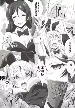 BunnyFes!!