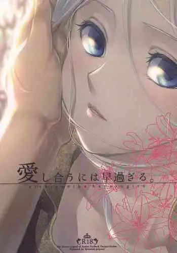 Aishiau ni wa Hayasugiru