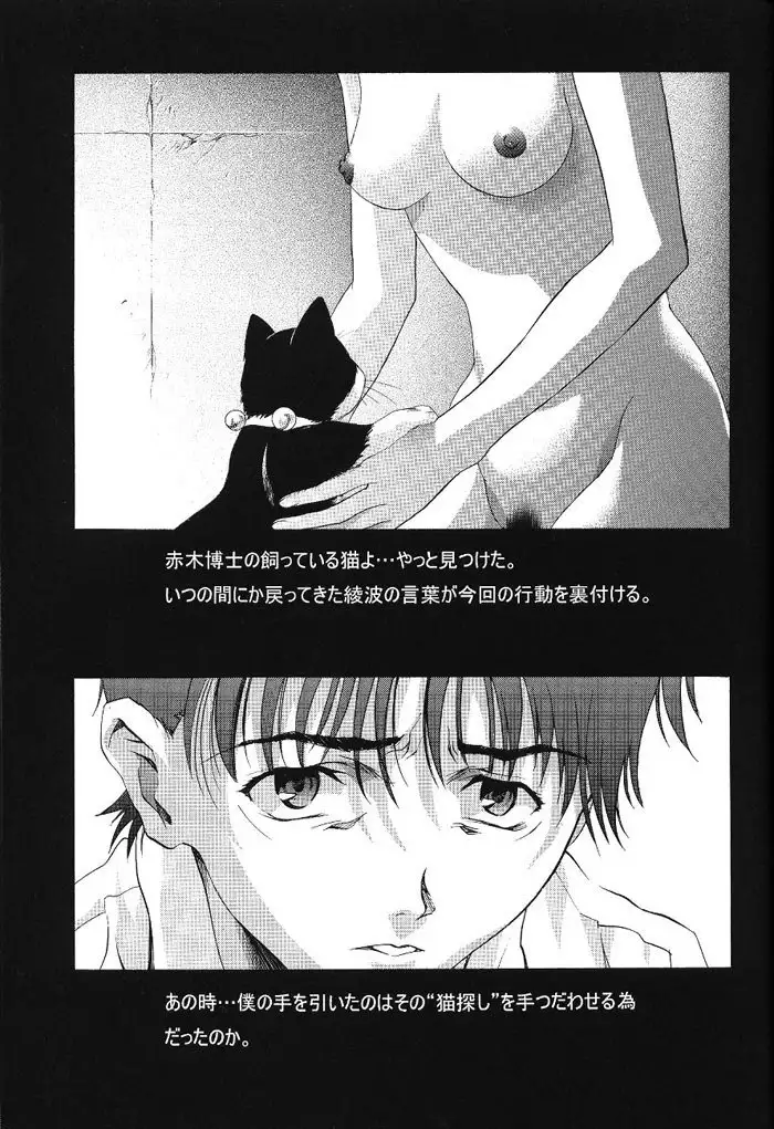Ayanami Club 1