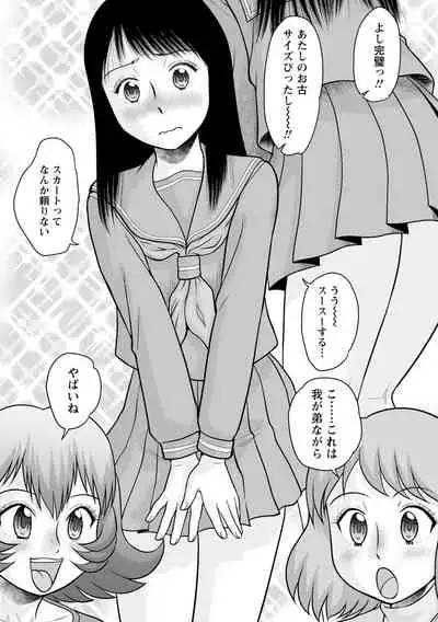 Fudeoroshi Harem Dairankou